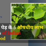 शीशम